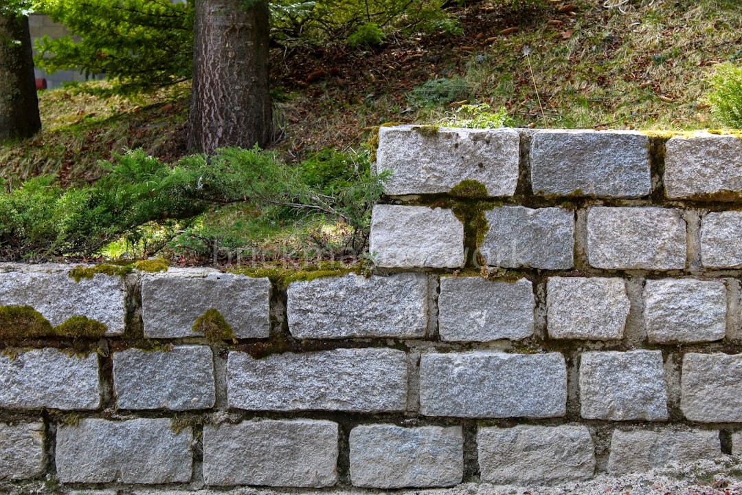 Reinforced Retaining Walls