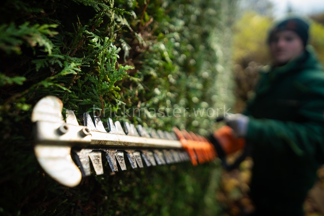 Hardscaping